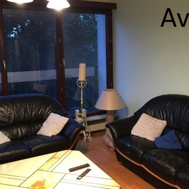 Avant 1